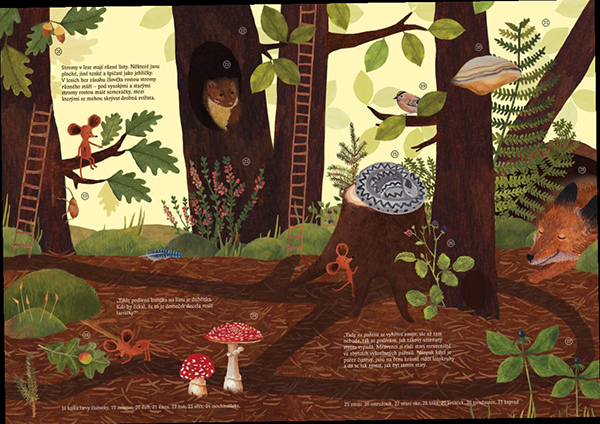 Little Mouse's Encyclopedia - A Picture Book about the Wonders of Nature